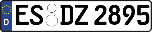 ES-DZ2895