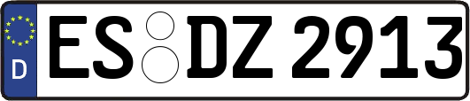 ES-DZ2913