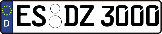 ES-DZ3000