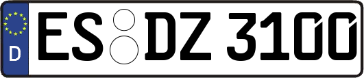 ES-DZ3100