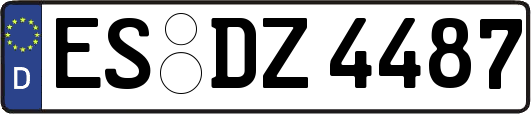 ES-DZ4487
