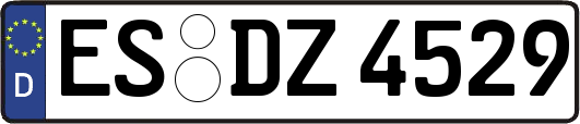 ES-DZ4529