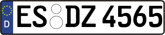 ES-DZ4565
