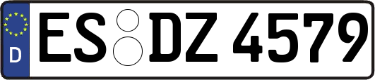 ES-DZ4579