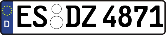 ES-DZ4871
