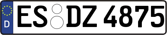 ES-DZ4875