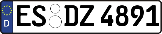 ES-DZ4891