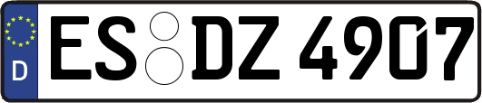 ES-DZ4907