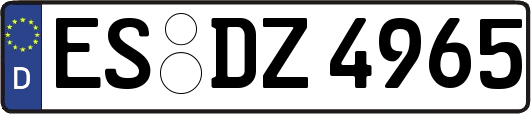 ES-DZ4965
