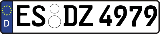ES-DZ4979