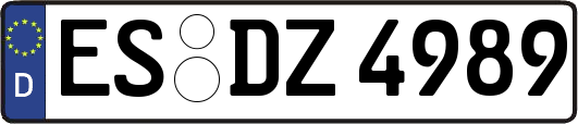ES-DZ4989