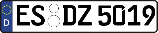 ES-DZ5019