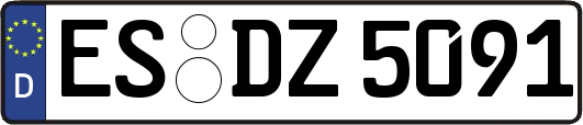 ES-DZ5091