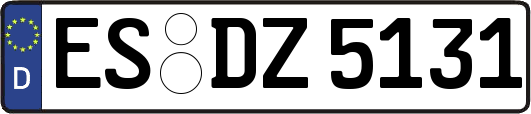 ES-DZ5131