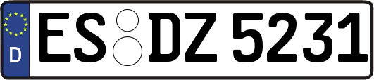 ES-DZ5231