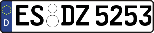 ES-DZ5253