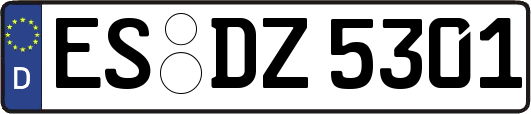 ES-DZ5301