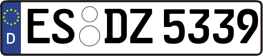 ES-DZ5339
