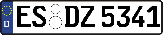 ES-DZ5341