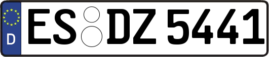ES-DZ5441