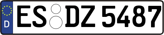ES-DZ5487