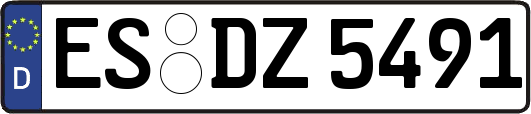 ES-DZ5491