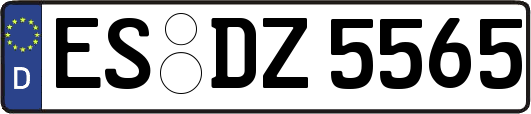 ES-DZ5565