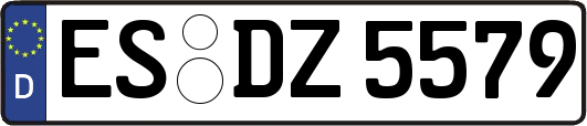 ES-DZ5579