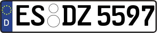 ES-DZ5597