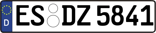 ES-DZ5841