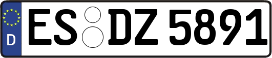 ES-DZ5891