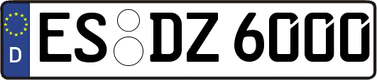 ES-DZ6000