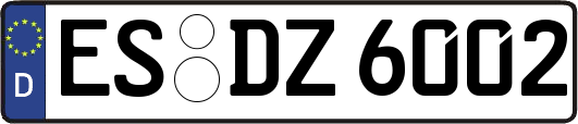ES-DZ6002