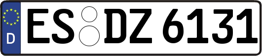 ES-DZ6131