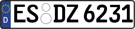 ES-DZ6231