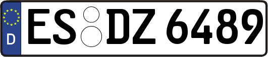 ES-DZ6489