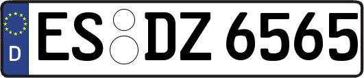 ES-DZ6565