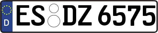 ES-DZ6575