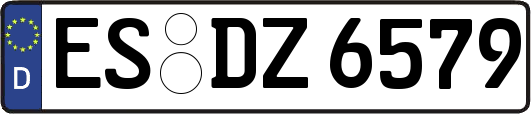 ES-DZ6579