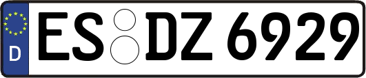 ES-DZ6929