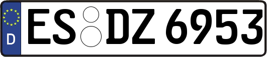 ES-DZ6953