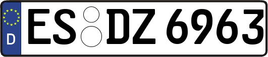 ES-DZ6963
