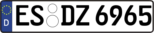 ES-DZ6965