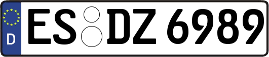 ES-DZ6989