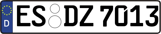 ES-DZ7013