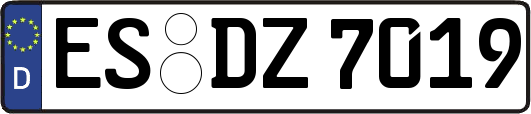 ES-DZ7019