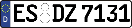 ES-DZ7131