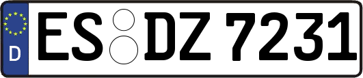 ES-DZ7231