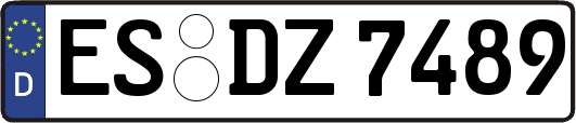 ES-DZ7489
