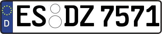 ES-DZ7571